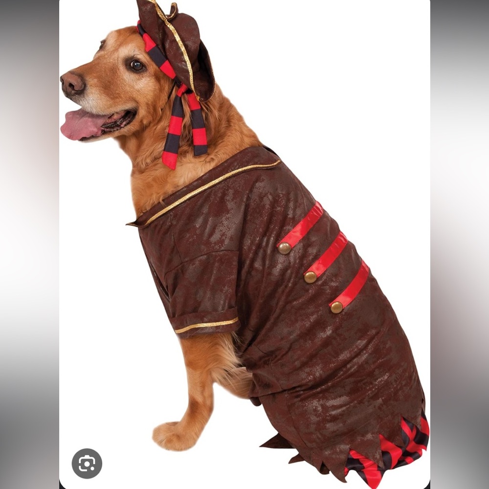 Dog Pirate Costume